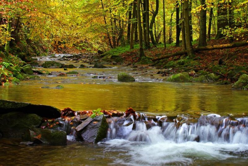 Rowerowa podróż po Bieszczadach